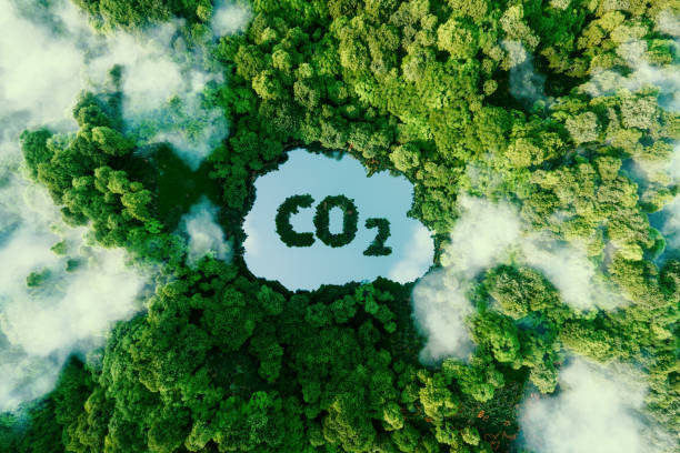 émission carbone